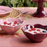 Fiore Pink and Maroon Ice Cream Bowls (set of 8)